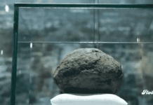 Teotihuacán estrena museo y exhibe una pelota de hule de más de 3 mil años noticias Museo de la Grandeza Teotihuacana