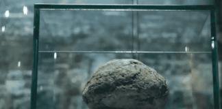 Teotihuacán estrena museo y exhibe una pelota de hule de más de 3 mil años noticias Museo de la Grandeza Teotihuacana