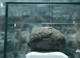 Teotihuacán estrena museo y exhibe una pelota de hule de más de 3 mil años noticias Museo de la Grandeza Teotihuacana