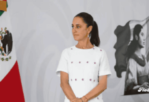 Alcaldes de Morena cierran filas con Sheinbaum ante protestas previas al Mundial 2026 noticias alcaldes apoyan a sheinbaum