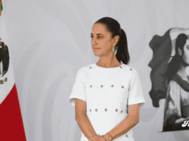 Alcaldes de Morena cierran filas con Sheinbaum ante protestas previas al Mundial 2026 noticias alcaldes apoyan a sheinbaum