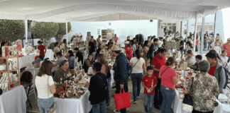 Bazar 25 CDMX impulsa a emprendedores y fortalece el consumo local en Coyoacán noticias bazar 25 cdmx