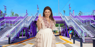 PAN cuestiona contratos millonarios ligados de Clara Brugada a imagen urbana de CDMX noticias brugada pintura morada