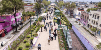 Jardín Flotante Tlallipan: así es el nuevo parque elevado que transforma Calzada de Tlalpan noticias jardin flotante cdmx