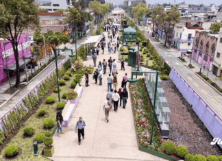 Jardín Flotante Tlallipan: así es el nuevo parque elevado que transforma Calzada de Tlalpan noticias jardin flotante cdmx