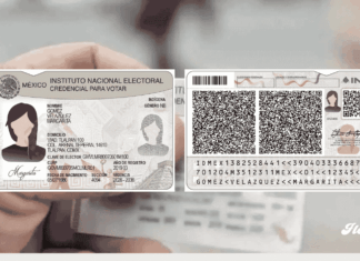 INE lanza nueva credencial para votar con 25 elementos de seguridad noticias nueva credencial votar mexico ine