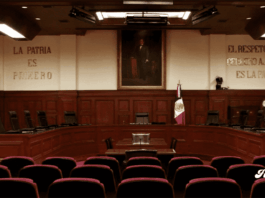 Suprema Corte avala nuevas reglas para el manejo de datos personales en Chihuahua y Colima noticias suprema corte de justicia de la nación