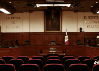Suprema Corte avala nuevas reglas para el manejo de datos personales en Chihuahua y Colima noticias suprema corte de justicia de la nación