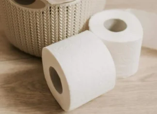 Adiós al papel higiénico: la tecnología que podría transformar los baños en 2027 papel de baño en decadencia