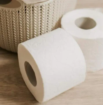 Adiós al papel higiénico: la tecnología que podría transformar los baños en 2027 papel de baño en decadencia