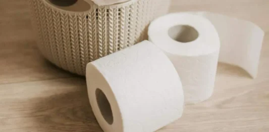 Adiós al papel higiénico: la tecnología que podría transformar los baños en 2027 papel de baño en decadencia