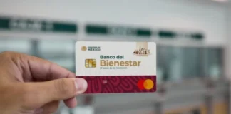 Pensión Bienestar abre nuevo registro: fechas, requisitos y quiénes pueden solicitar el apoyo pension bienestar 2026
