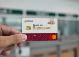Pensión Bienestar abre nuevo registro: fechas, requisitos y quiénes pueden solicitar el apoyo pension bienestar 2026