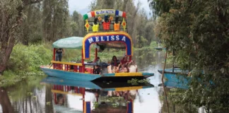 UNAM gana premio ambiental por proyecto que protege chinampas y al ajolote en Xochimilco xochimilco unam