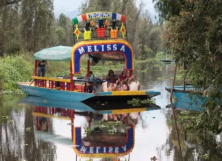 UNAM gana premio ambiental por proyecto que protege chinampas y al ajolote en Xochimilco xochimilco unam