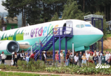 Avión con simulador de vuelo, jaulas de bateo y voleibol de playa en la nueva utopía CDMX Avión con simulador de vuelo, jaulas de bateo y voleibol de playa en la nueva utopía CDMX