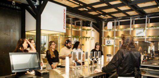 Cucurucho and Company: el nuevo laboratorio del café de especialidad que abre sus puertas en la CDMX Cucurucho and Company: el nuevo laboratorio del café de especialidad que abre sus puertas en la CDMX