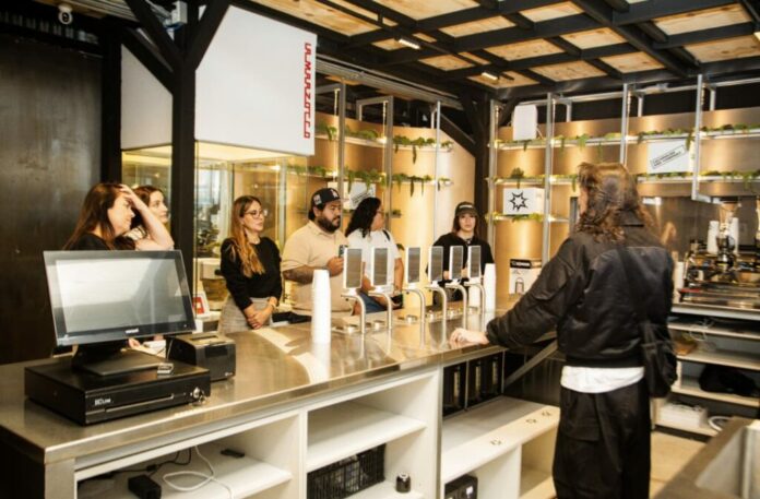 Cucurucho and Company: el nuevo laboratorio del café de especialidad que abre sus puertas en la CDMX