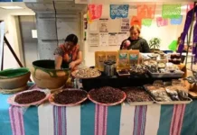 Expo Oaxaca llena el Centro Histórico de CDMX con artesanías, gastronomía y música tradicional Expo Oaxaca