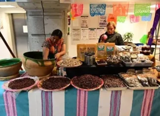 Expo Oaxaca llena el Centro Histórico de CDMX con artesanías, gastronomía y música tradicional Expo Oaxaca