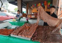 Feria de la Cecina 2026 en Atlixco: fechas, precios y todo lo que encontrarás Feria de la Cecina 2026 en Atlixco: fechas, precios y todo lo que encontrarás