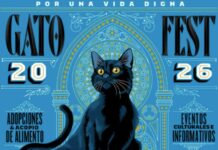 Gato Fest 2026 en CDMX: adopciones, talleres y actividades para ayudar a refugios felinos Gato Fest 2026 en CDMX: adopciones, talleres y actividades para ayudar a refugios felinos