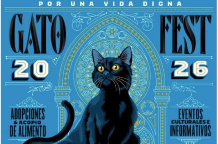Gato Fest 2026 en CDMX- adopciones, talleres y actividades para ayudar a refugios felinos Gato Fest 2026 en CDMX: adopciones, talleres y actividades para ayudar a refugios felinos