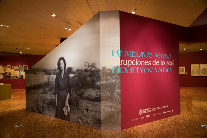 La exposición de Remedios Varo en el Museo de Arte Moderno permanecerá abierta hasta 2027 La exposición de Remedios Varo en el Museo de Arte Moderno permanecerá abierta hasta 2027
