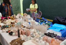 Llega la Expo de Fósiles y Minerales a la CDMX Llega la Expo de Fósiles y Minerales a la CDMX