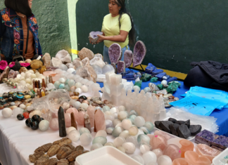 Llega la Expo de Fósiles y Minerales a la CDMX Llega la Expo de Fósiles y Minerales a la CDMX