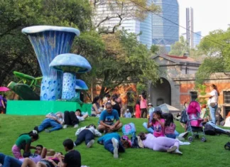 Llega la Feria de Hongos Silvestres a Chapultepec con comida, talleres y actividades gratuitas Llega la Feria de Hongos Silvestres a Chapultepec con comida, talleres y actividades gratuitas
