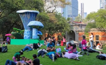 Llega la Feria de Hongos Silvestres a Chapultepec con comida, talleres y actividades gratuitas Llega la Feria de Hongos Silvestres a Chapultepec con comida, talleres y actividades gratuitas
