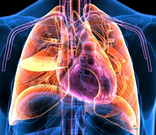 Músculos intercostales: ejercicios para fortalecer la respiración y mejorar la estabilidad del tórax Músculos intercostales