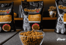 México acelera la nutrición especializada para perros senior ante el aumento de mascotas longevas ganador perros