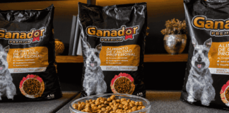 México acelera la nutrición especializada para perros senior ante el aumento de mascotas longevas ganador perros
