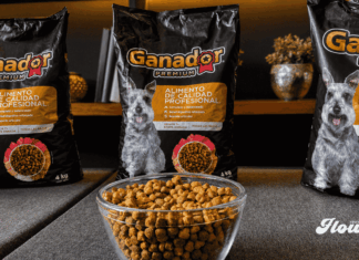 México acelera la nutrición especializada para perros senior ante el aumento de mascotas longevas ganador perros
