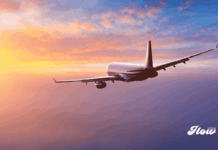 Onfly triplica sus clientes en México y alcanza operaciones por 89.9 millones de pesos Onfly