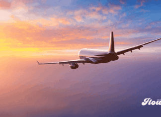 Onfly triplica sus clientes en México y alcanza operaciones por 89.9 millones de pesos Onfly