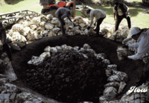 Tierra Mezcal Fest 2026 llega a Toluca con catas, talleres y más de 40 productores Tierra Mezcal Fest