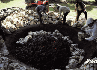Tierra Mezcal Fest 2026 llega a Toluca con catas, talleres y más de 40 productores Tierra Mezcal Fest