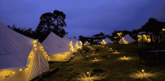 Nanacamilpa lanza VisitaNana.com para impulsar el turismo de luciérnagas en Tlaxcala nanacamilpa