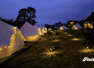 Nanacamilpa lanza VisitaNana.com para impulsar el turismo de luciérnagas en Tlaxcala nanacamilpa