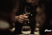 El vino conquista momentos cotidianos: nuevas generaciones cambian el brindis en México vino