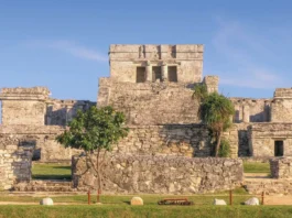 Plan Tulum reduce tarifas, abre playas públicas y elimina el cobro en Parque El Jaguar Plan Tulum