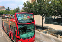 Turibús lanza un tour desde CDMX para ver luciérnagas que incluye buffet Turibús lanza un tour desde CDMX para ver luciérnagas que incluye buffet