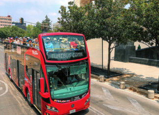 Turibús lanza un tour desde CDMX para ver luciérnagas que incluye buffet Turibús lanza un tour desde CDMX para ver luciérnagas que incluye buffet
