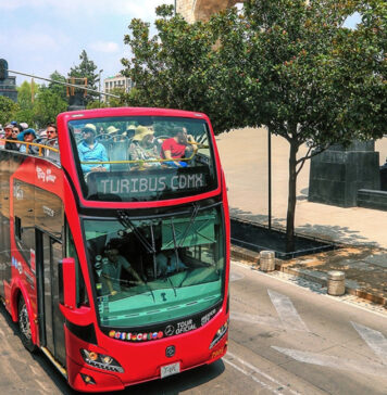 Turibús lanza un tour desde CDMX para ver luciérnagas que incluye buffet Turibús lanza un tour desde CDMX para ver luciérnagas que incluye buffet