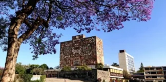 Examen de control UNAM 2026 podría reducir puntajes mínimos hasta 14 aciertos para asignar lugares UNAM