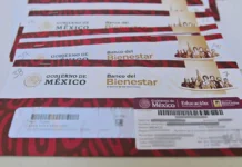 SEP cambia las becas 2026: más tiempo para cobrar y mayor cobertura en primaria becas Benito Juárez