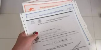 Boletas y certificados SEP ya pueden descargarse en línea en CDMX certificados